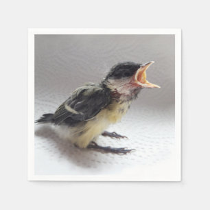 Servilleta De Papel Tidi my Bird the Parus Major