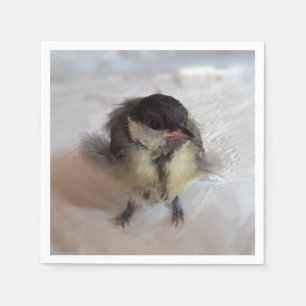 Servilleta De Papel Tidi my Bird the Parus Major