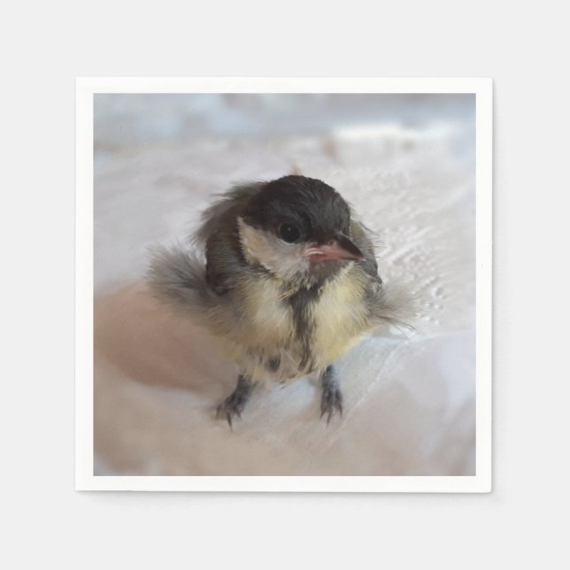 Servilleta De Papel Tidi my Bird the Parus Major (Anverso)