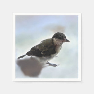 Servilleta De Papel Tidi my Bird the Parus Major