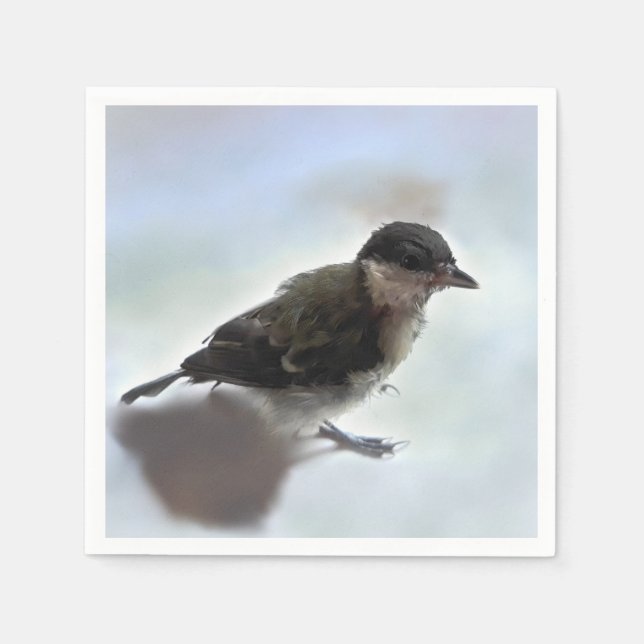 Servilleta De Papel Tidi my Bird the Parus Major (Anverso)
