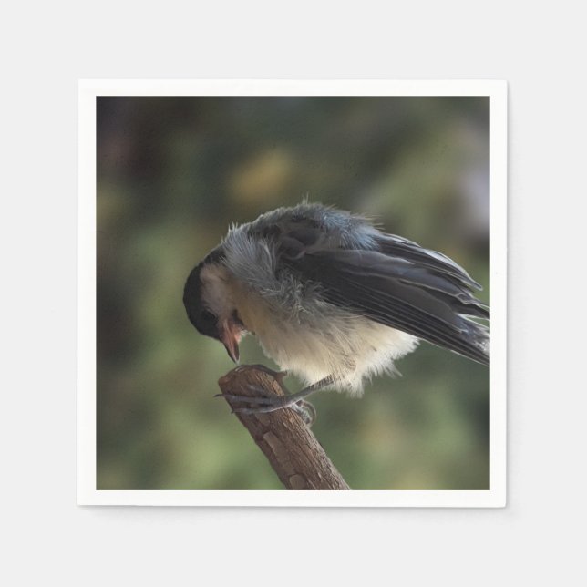 Servilleta De Papel Tidi my Bird the Parus Major (Anverso)