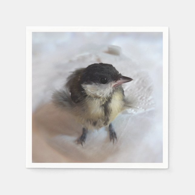 Servilleta De Papel Tidi my Bird the Parus Major (Anverso)