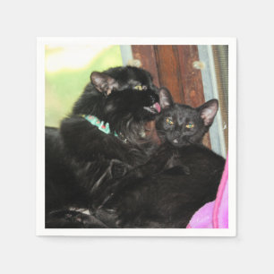 Servilleta De Papel Tiempo de baño