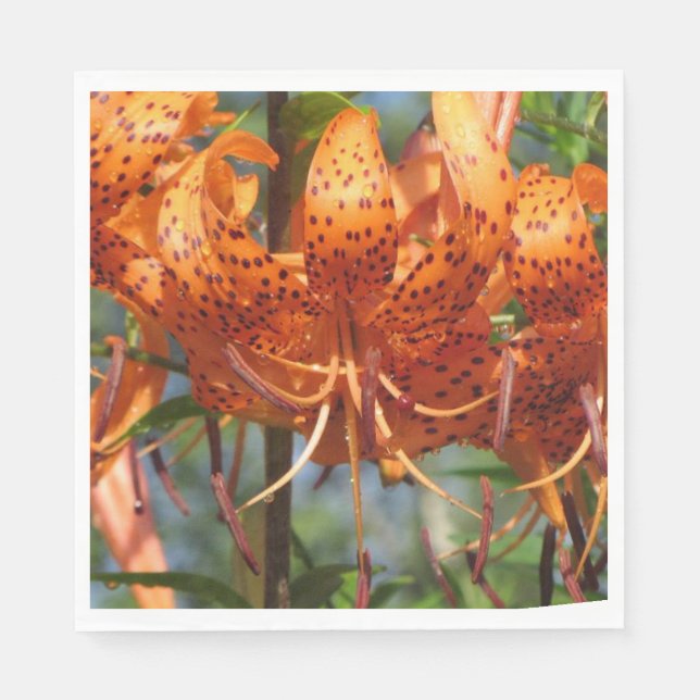 Servilleta De Papel Tiger Lilies, el día lluvioso (Anverso)