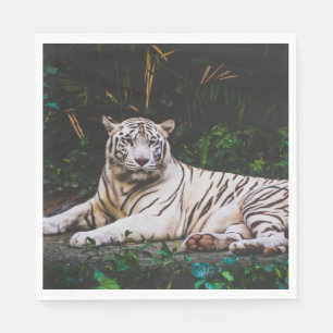 Servilleta De Papel Tigre