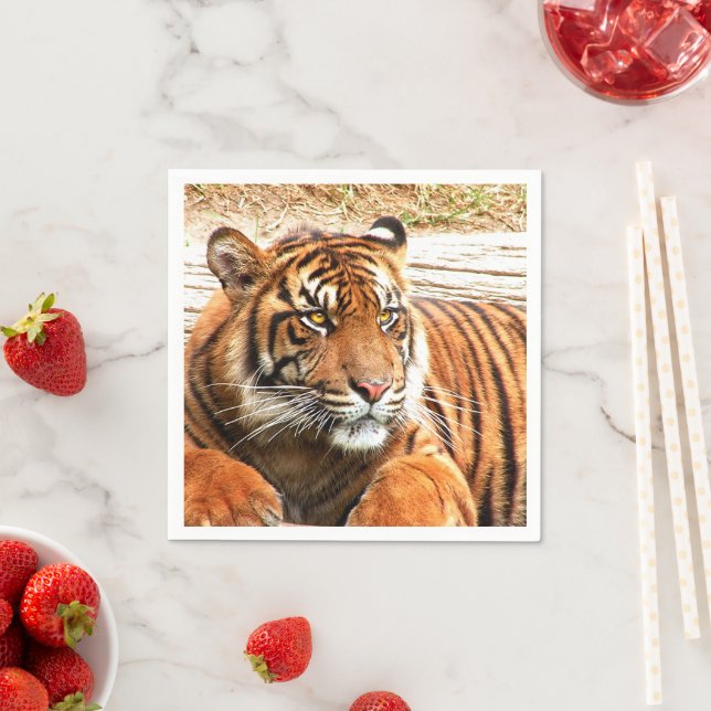 Servilleta De Papel Tigre (In situ)