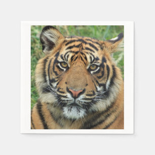 Servilleta De Papel Tigre