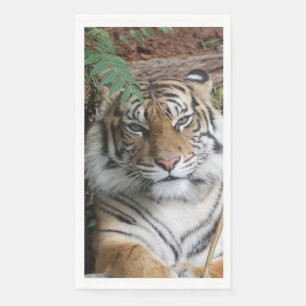 Servilleta De Papel Tigre 005