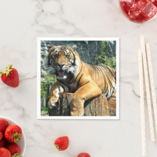 Servilleta De Papel Tigre lindo