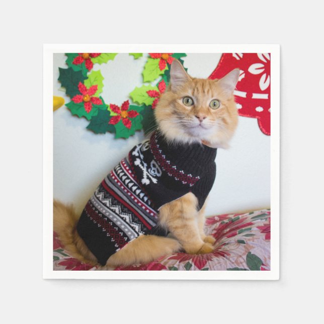 Servilleta De Papel Tipo de Maine I (Anverso)