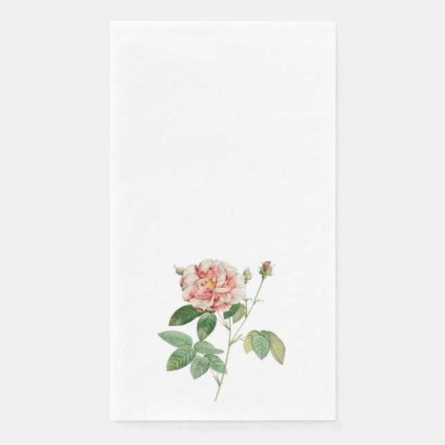 Servilleta De Papel toalla (Anverso)