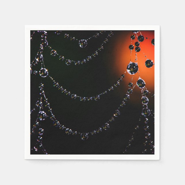 Servilleta De Papel Toallas de joyas Spiderweb (Anverso)