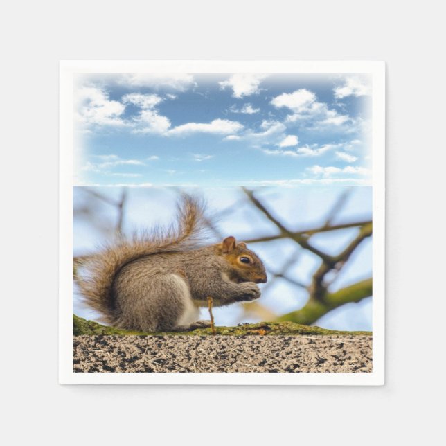 Servilleta De Papel Toallas de papel de ardilla (Anverso)