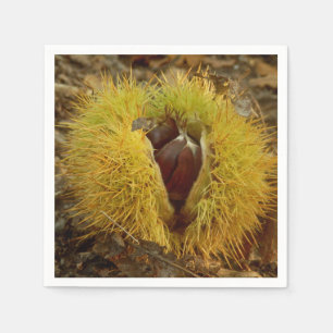 Servilleta De Papel Toallas de papel de castaño dulce