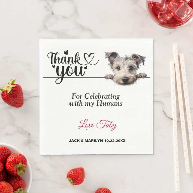 Servilleta De Papel Toallas de papel de perro Pumi (In situ)