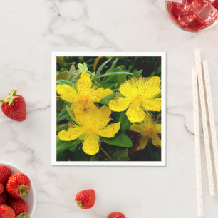 Servilleta De Papel Toallas de papel hipericum calicinum