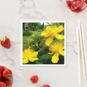 Servilleta De Papel Toallas de papel hipericum calicinum