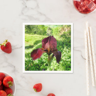 Servilleta De Papel Toallas de papel Iris con barba