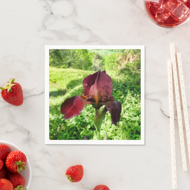 Servilleta De Papel Toallas de papel Iris con barba (In situ)