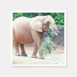 Servilleta De Papel Toallas de papel para elefantes