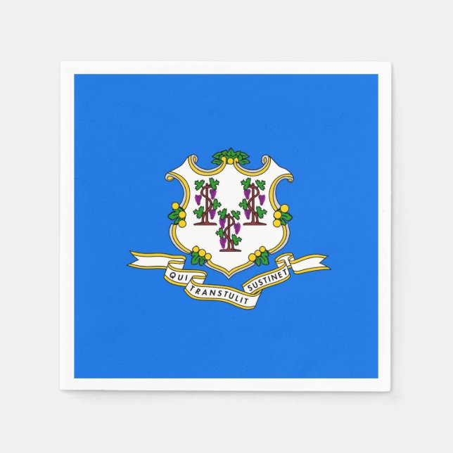 Servilleta De Papel Toallas de papel patriótico con bandera de Connect (Anverso)