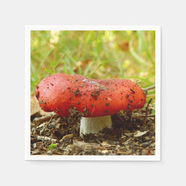 Servilleta De Papel Toallas de papel Russula Emetica (Anverso)