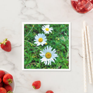Servilleta De Papel Toallas Ox-Eye Daisies