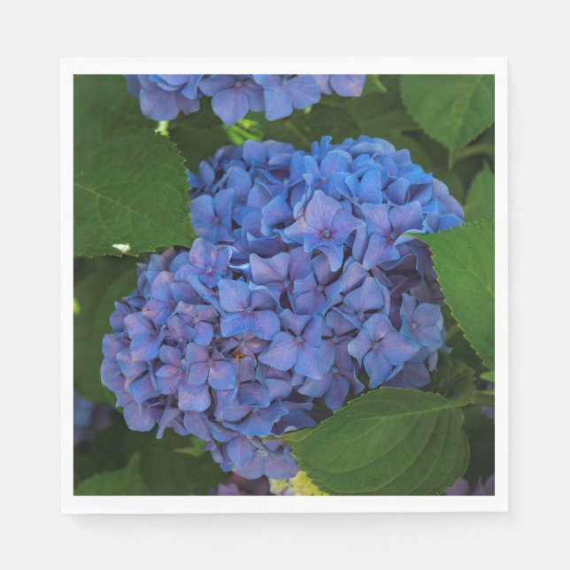 Servilleta De Papel Tonos Azules - La Hydrangea Azul (Anverso)