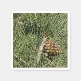 Servilleta De Papel Torrey Pine Closeup California Botanical