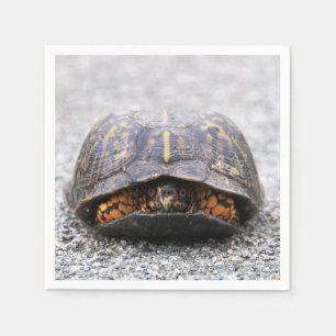 Servilleta De Papel Tortuga de caja