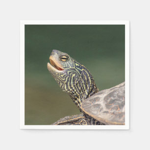 Servilleta De Papel Tortuga en el río LaChute