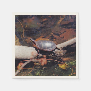 Servilleta De Papel Tortuga feliz