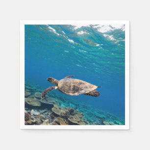 Servilleta De Papel Tortuga marina