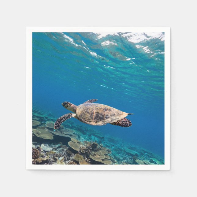 Servilleta De Papel Tortuga marina (Anverso)