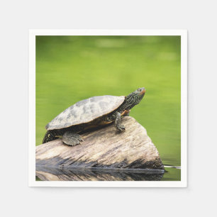 Servilleta De Papel Tortuga pintada en un tronco