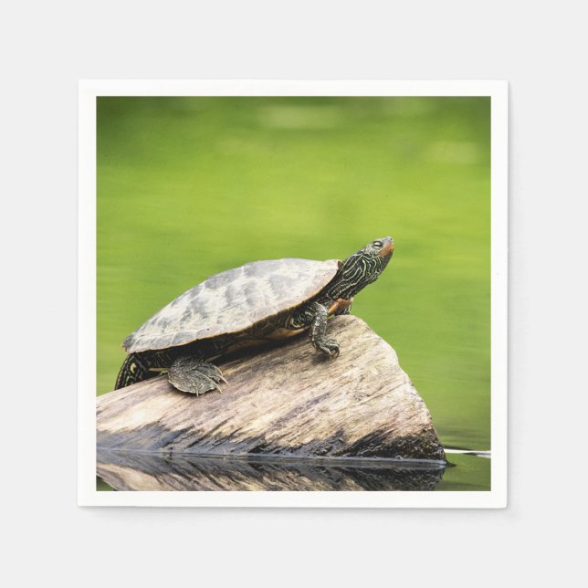 Servilleta De Papel Tortuga pintada en un tronco (Anverso)