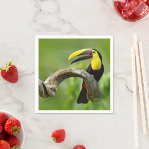 Servilleta De Papel Toucan sentado en la rama del bosque