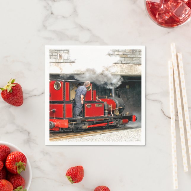 SERVILLETA DE PAPEL TRENES DE VAPOR (In situ)