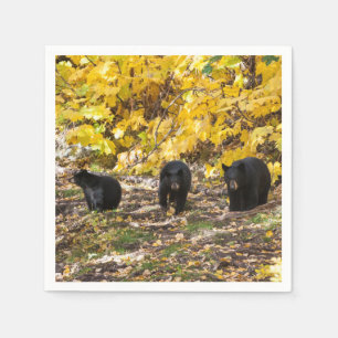 Servilleta De Papel Tres Baños