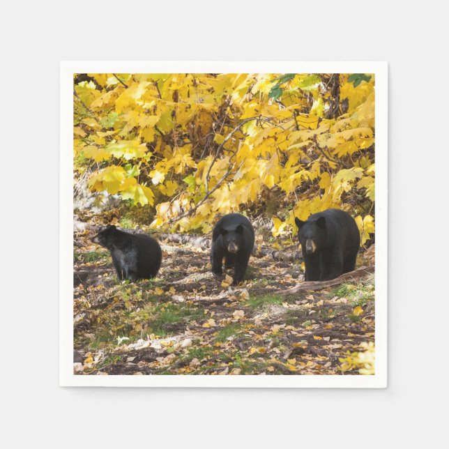 Servilleta De Papel Tres Baños (Anverso)