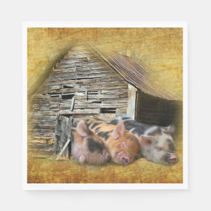 Servilleta De Papel Tres Cerditos En El Rústico Barn Snoozing