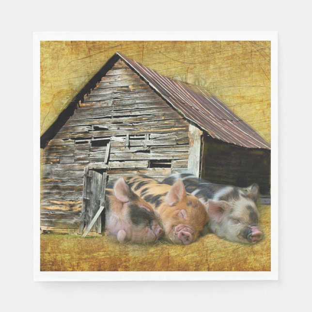 Servilleta De Papel Tres Cerditos En El Rústico Barn Snoozing (Anverso)