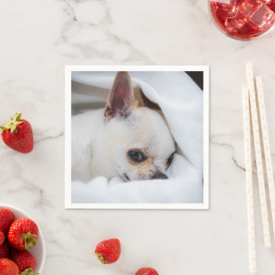 Servilleta De Papel Tu mascota perro cachorro foto personalizada chihu