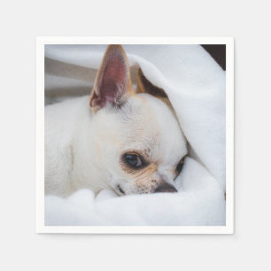 Servilleta De Papel Tu mascota perro cachorro personalizado foto chihu