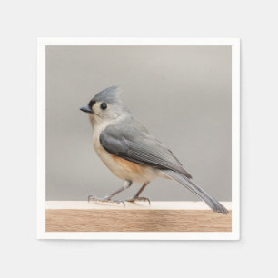 Servilleta De Papel Tufted Titmouse
