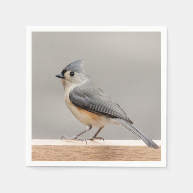 Servilleta De Papel Tufted Titmouse (Anverso)