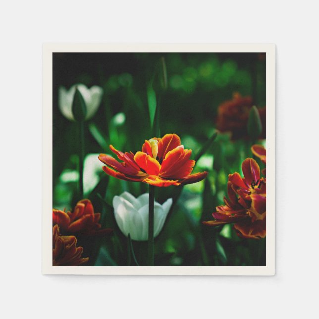 Servilleta De Papel Tulipán Rojo - Su Majestad el Rey (Anverso)