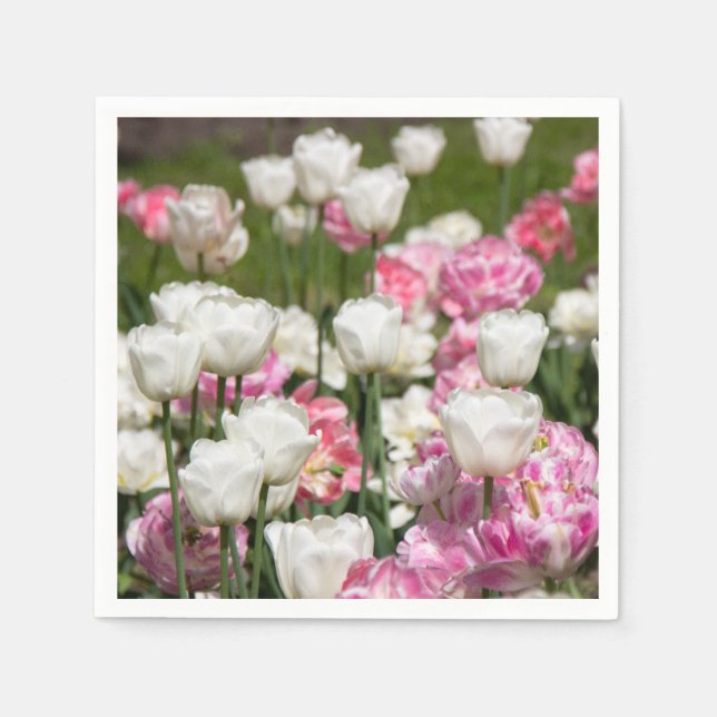 Servilleta De Papel Tulipanes blancos y rosas brillantes en un día sol (Anverso)