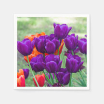 Tulipanes morados en un día soleado en el jardín